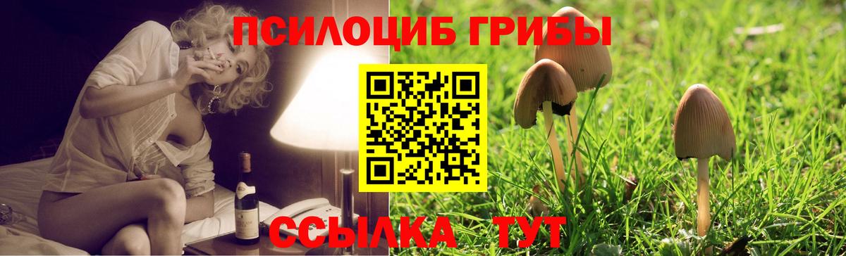 Галлюциногенные грибы GOLDEN TEACHER Кириши