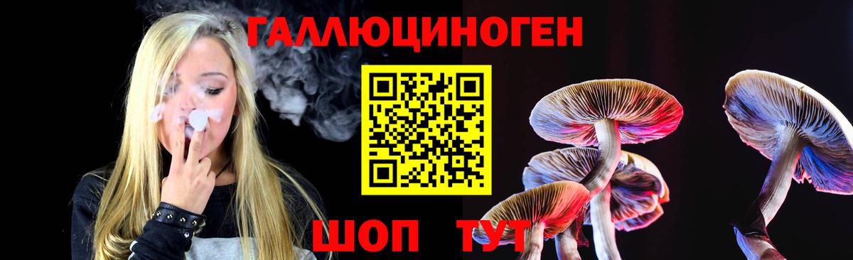 Псилоцибиновые грибы Cubensis  Вход с VPN  что такое   Кириши 